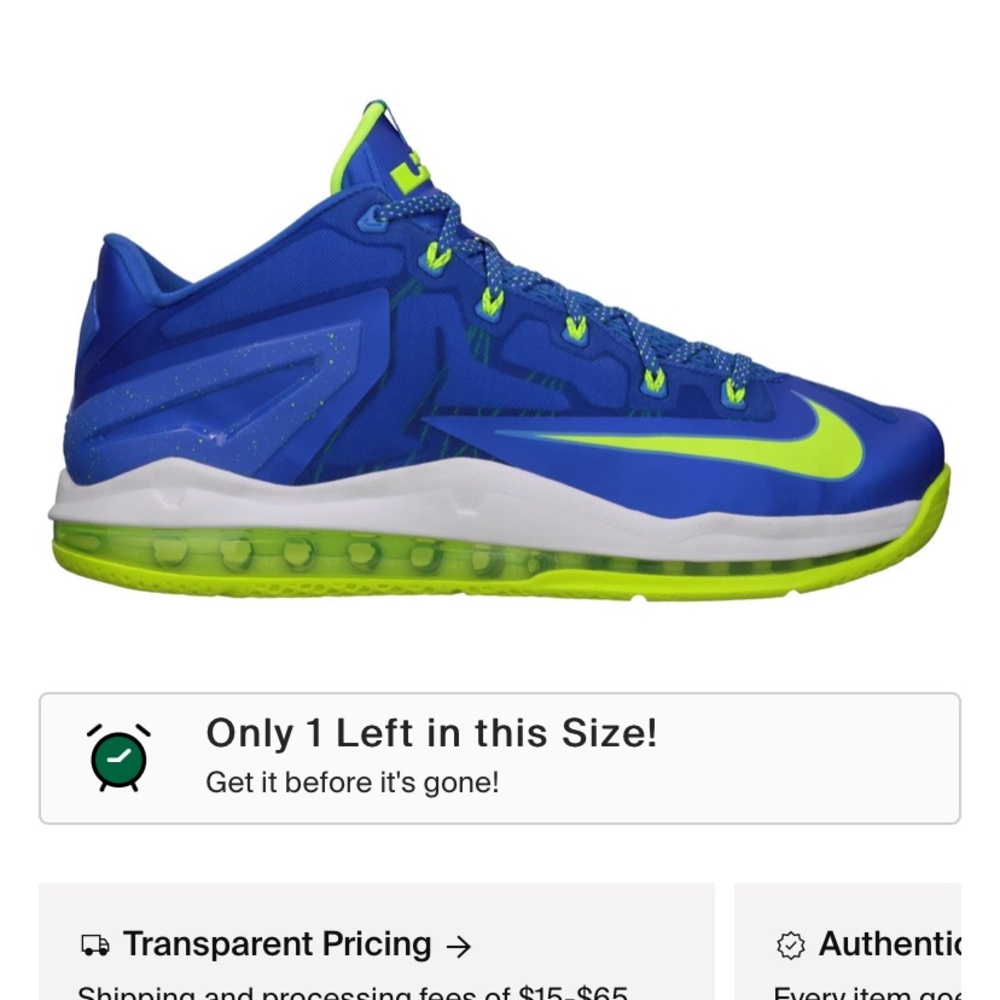 Nike Lebron 11 low